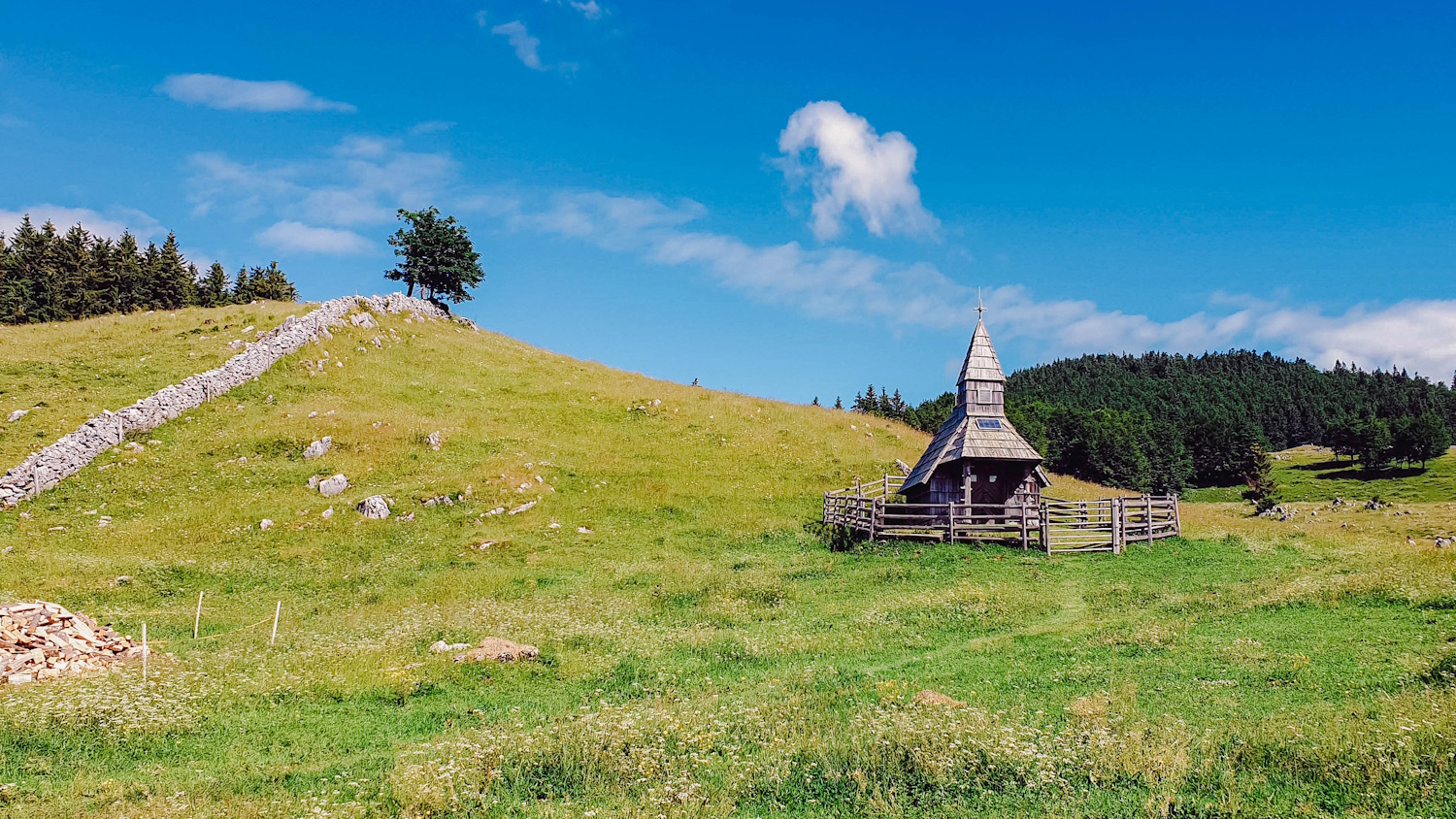 Foto: Erika Poljanšek